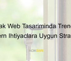 emlak web tasarımı