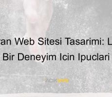 restoran web sitesi tasarımı