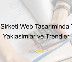 sigorta şirketi web tasarımı