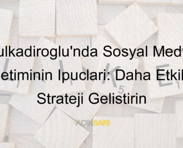 Dulkadiroğlu Sosyal Medya Yönetimi